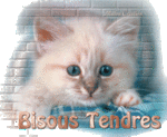    calin et bisous 