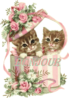 bon mercredi