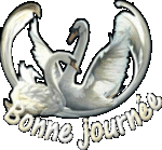  bonjour