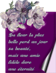    a toi