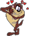 taz